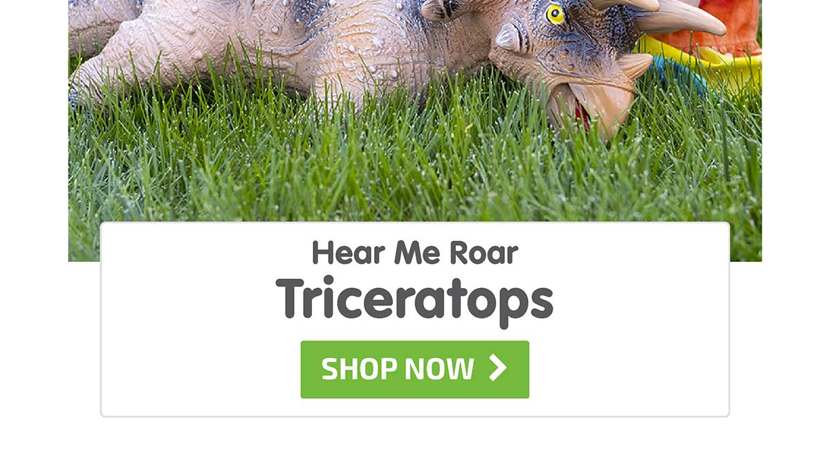 Hear Me Roar Triceratops - Shop Now