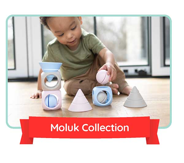 Moluk Collection