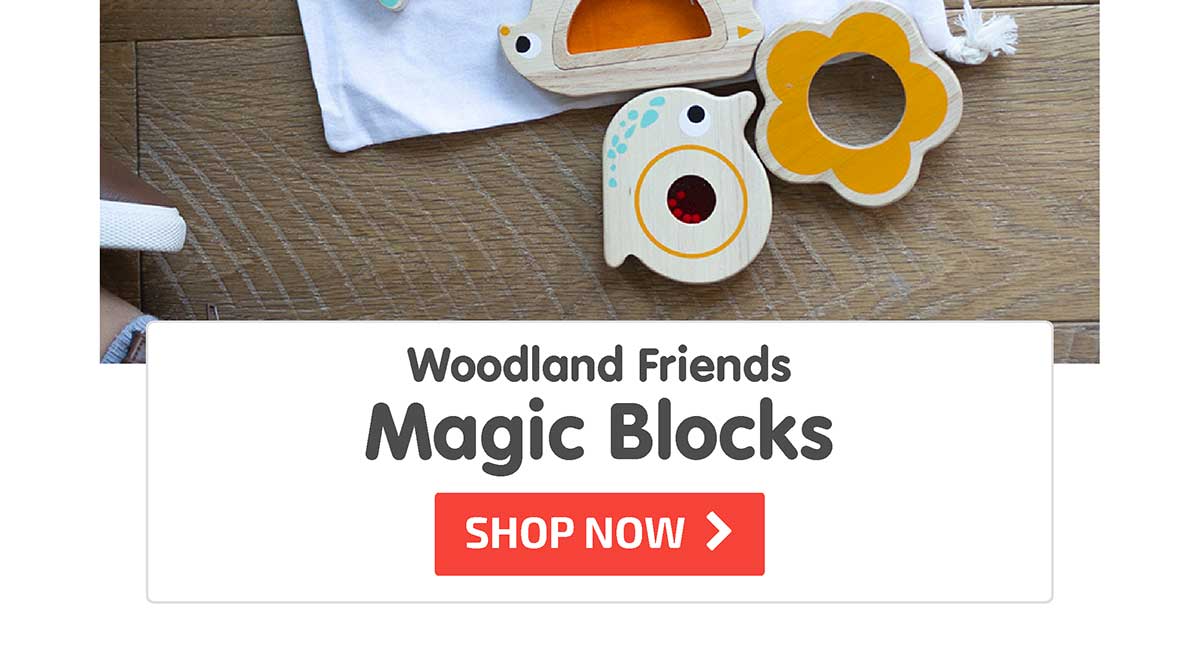 Woodland Friends Magic Blocks - Shop Now