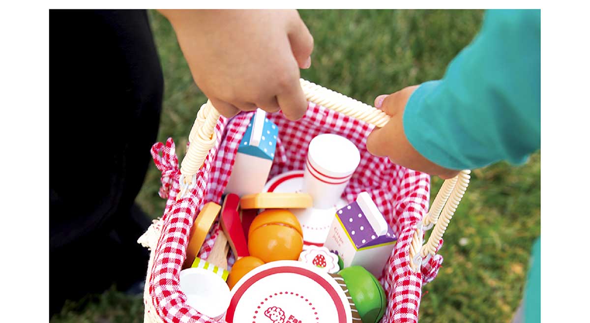27 Piece Picnic Basket Playset