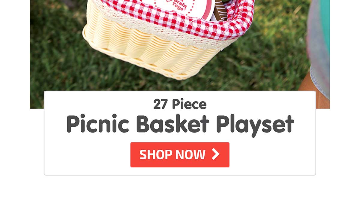27 Piece Picnic Basket Playset - Shop Now