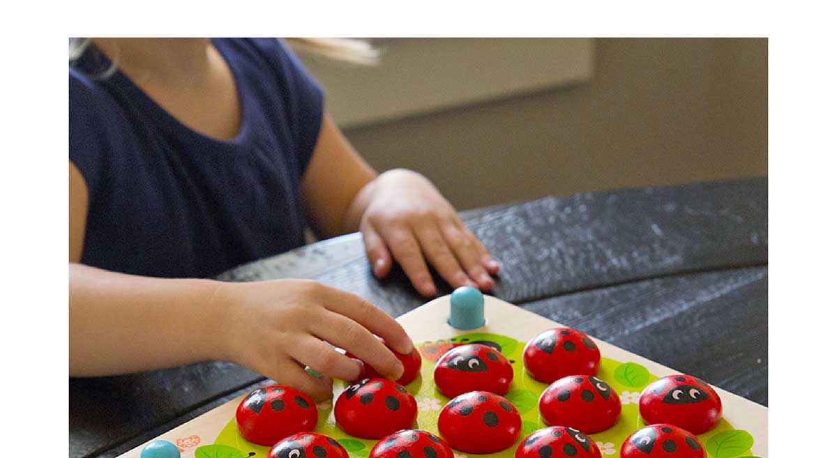 Ladybug’s Garden Memory Game