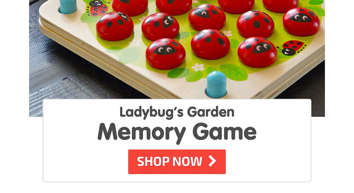 Ladybug’s Garden Memory Game - Shop Now