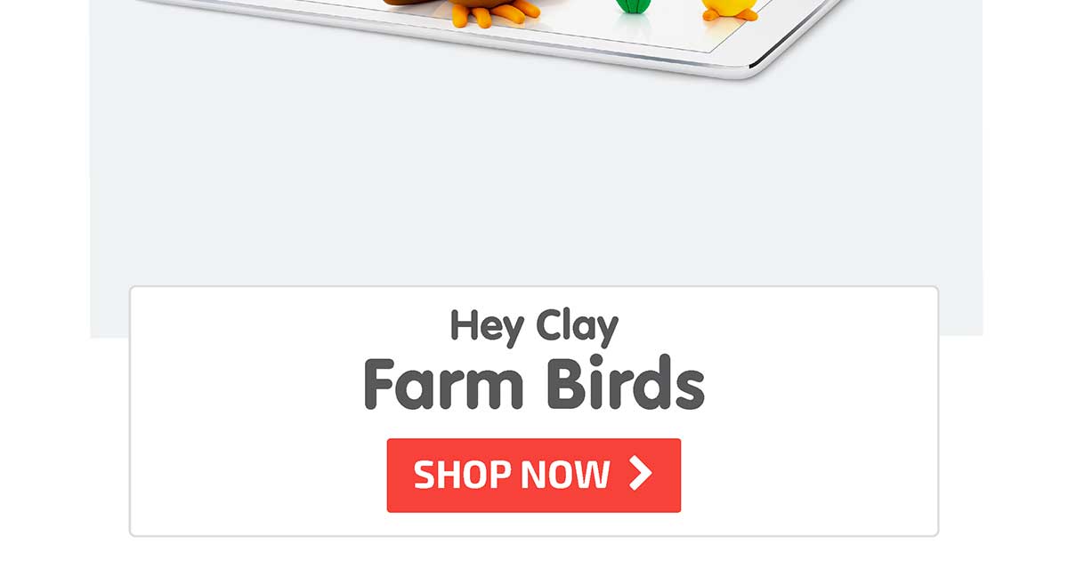 Hey Clay - Farm Birds - Shop Now
