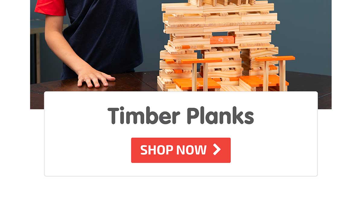 Timber Planks 300 Piece Set - Shop Now