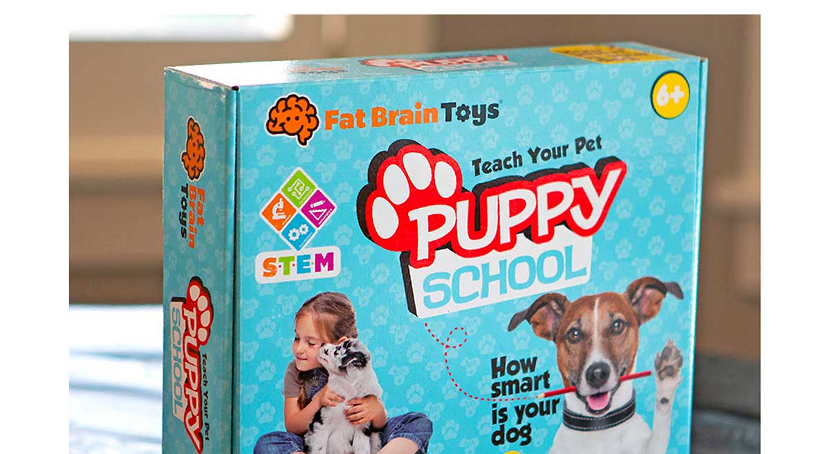 Puppy School