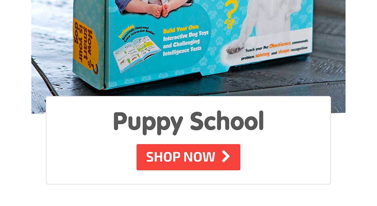 Puppy School - Shop Now
