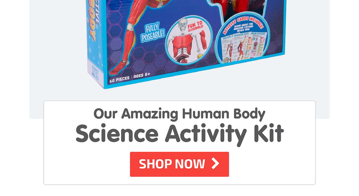 Our Amazing Human Body Science Activity Kit - Shop Now
