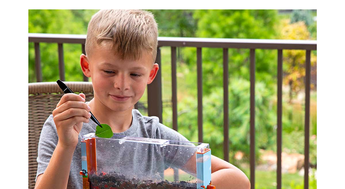 Worm Farm