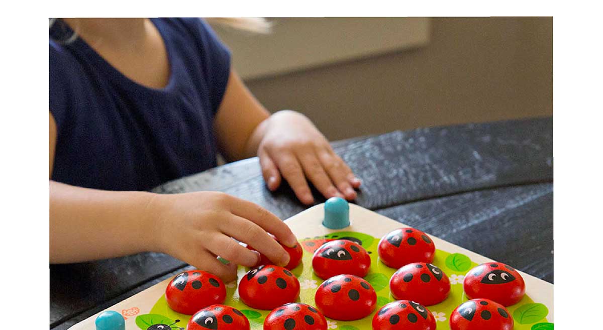 Ladybug’s Garden Memory Game