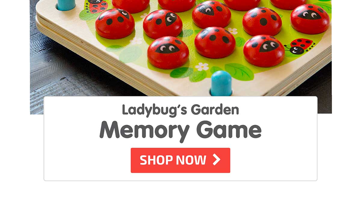 Ladybug’s Garden Memory Game - Shop Now