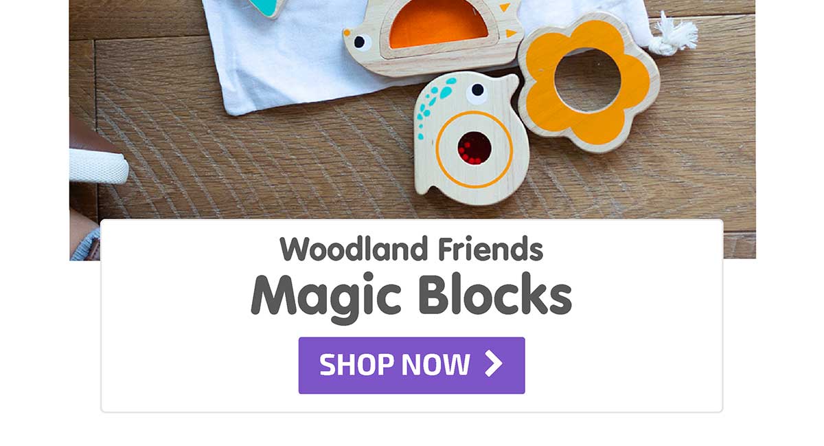 Woodland Friends Magic Blocks - Shop Now