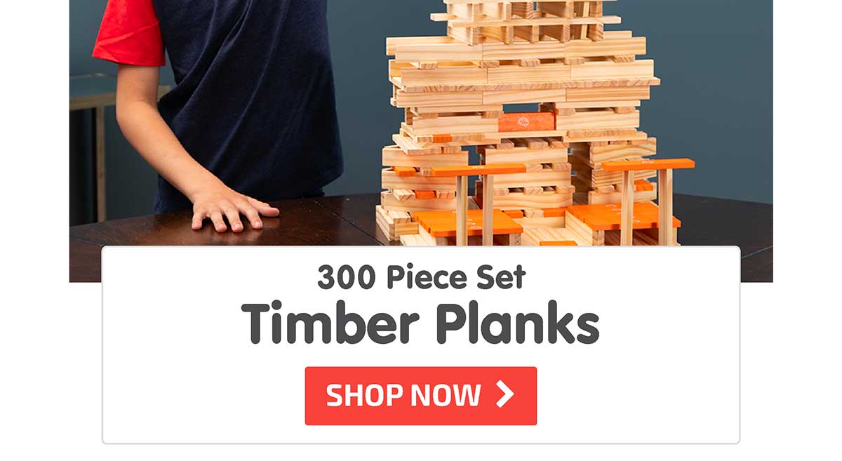 Timber Planks 300 Piece Set - Shop Now