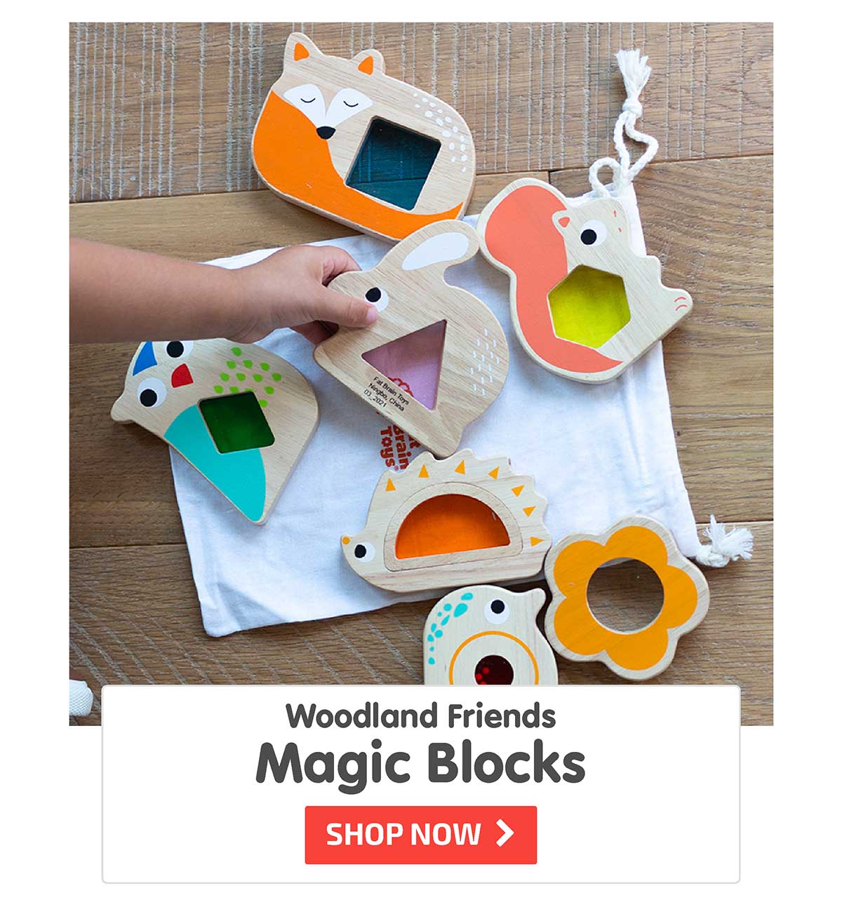 Woodland Friends Magic Blocks
