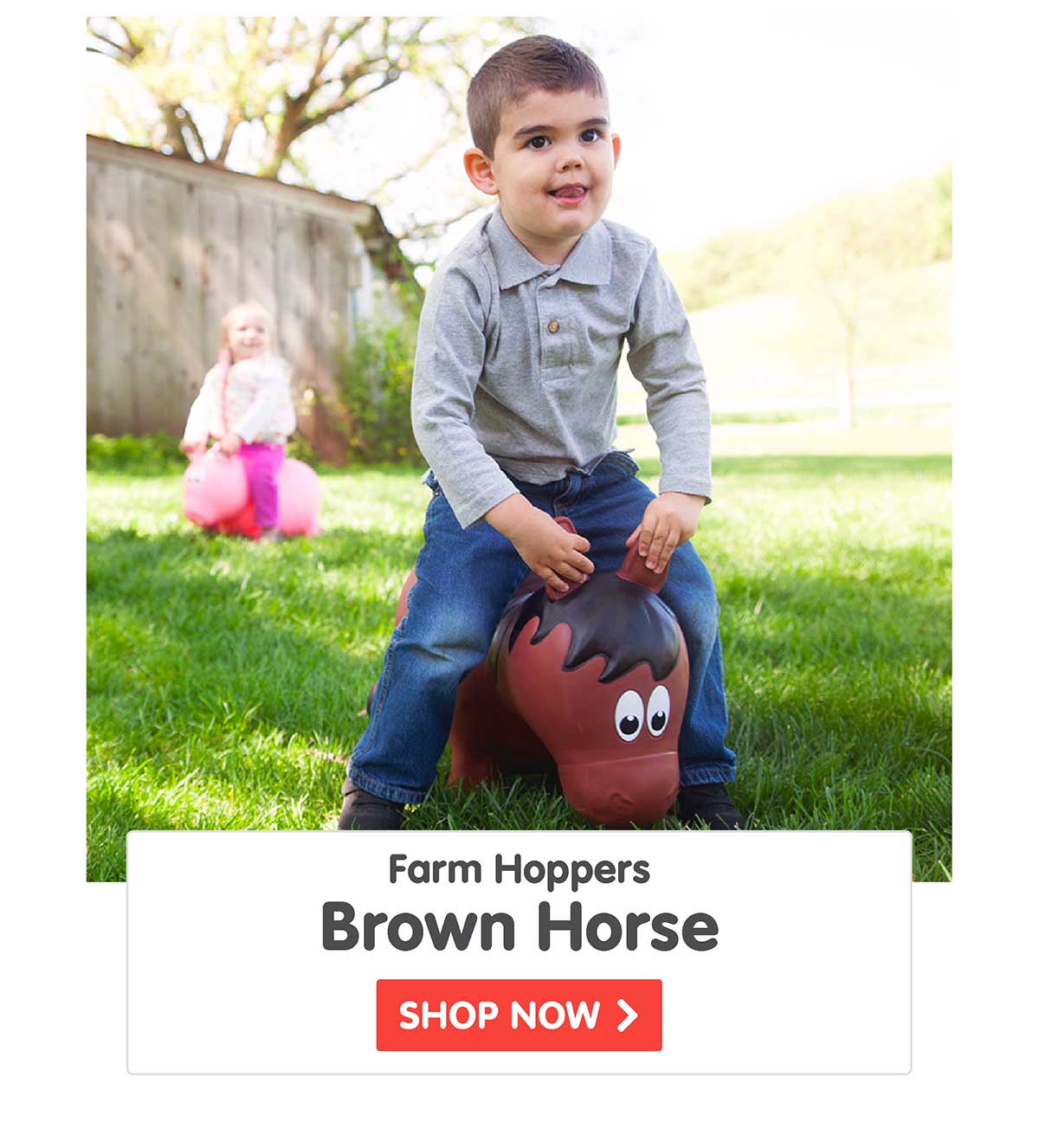 Farm Hoppers Brown Horse
