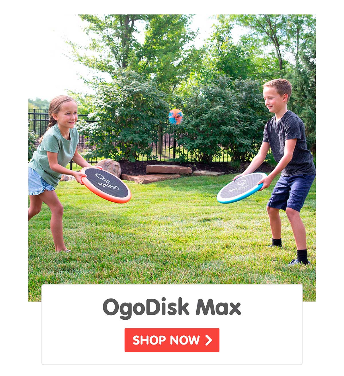 OgoDisk Max