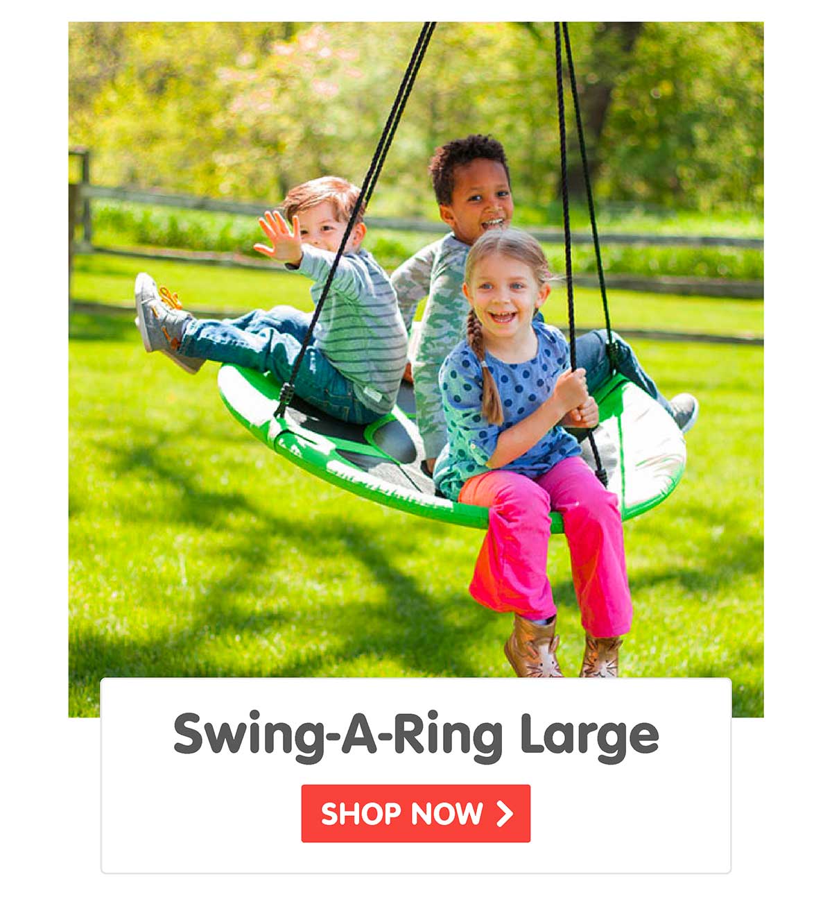 Swing-A-Ring Large
