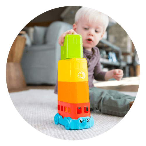 Egg Stacker Bus