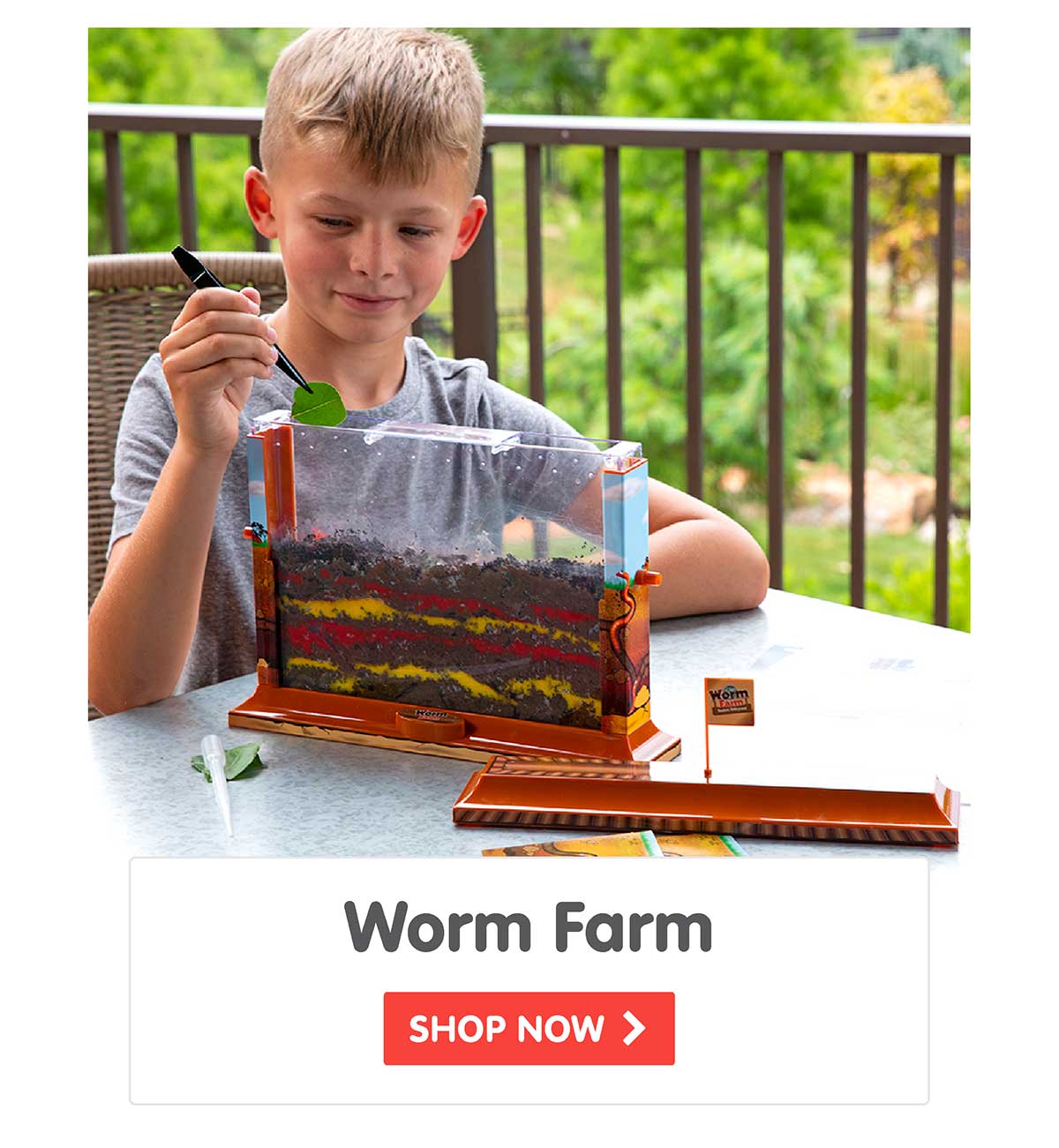 Worm Farm