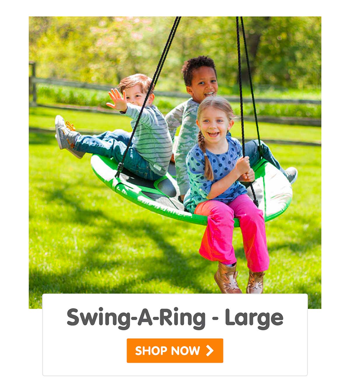 Swing-A-Ring - Large