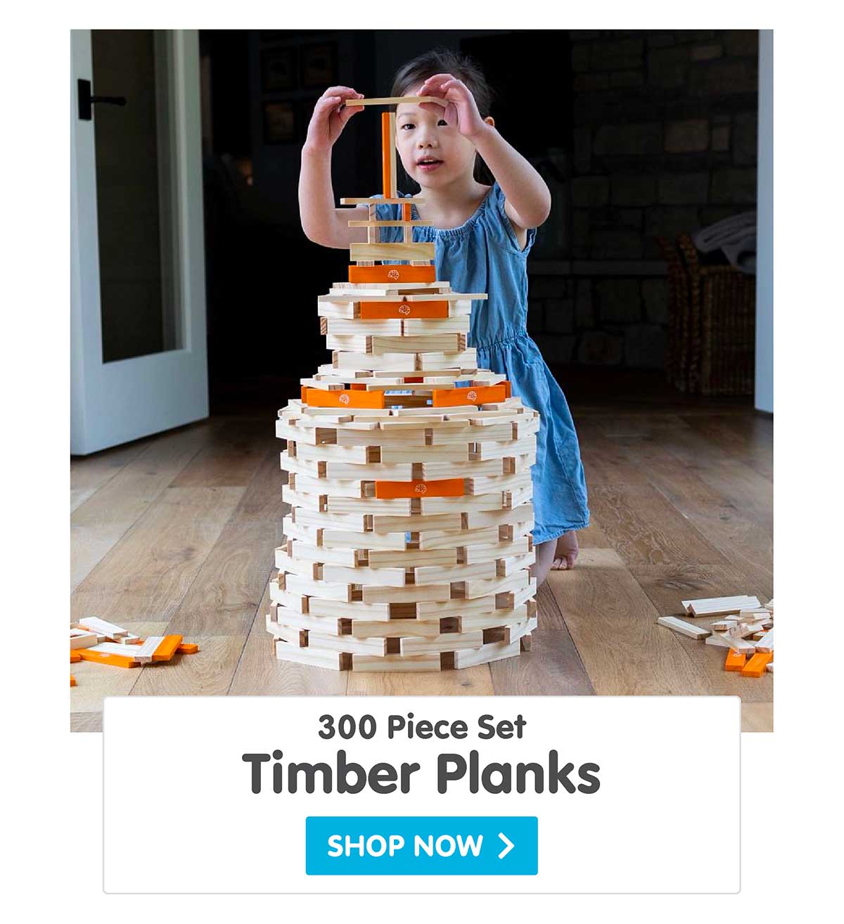 Timber Planks 300 Piece Set