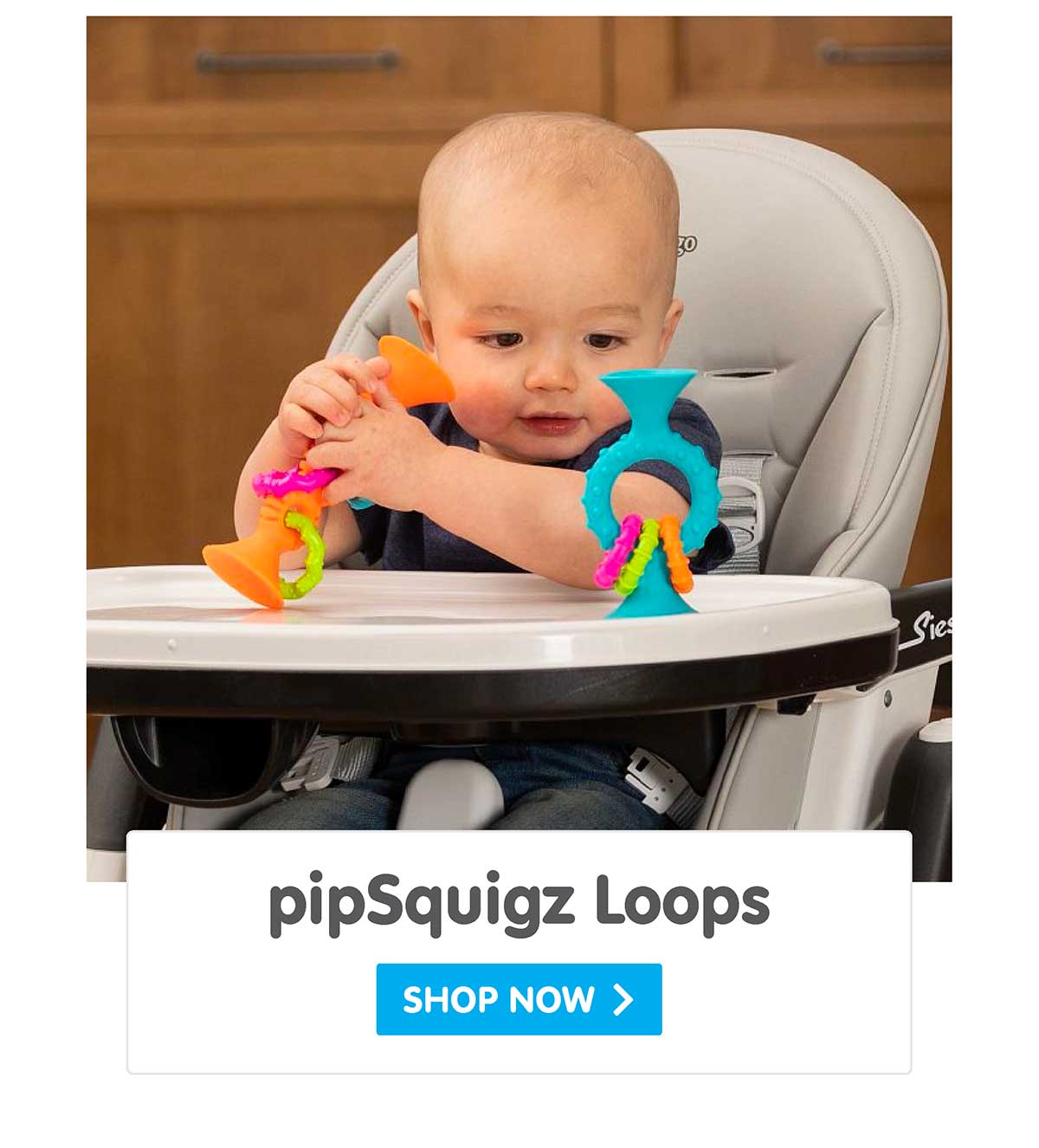pipSquigz Loops