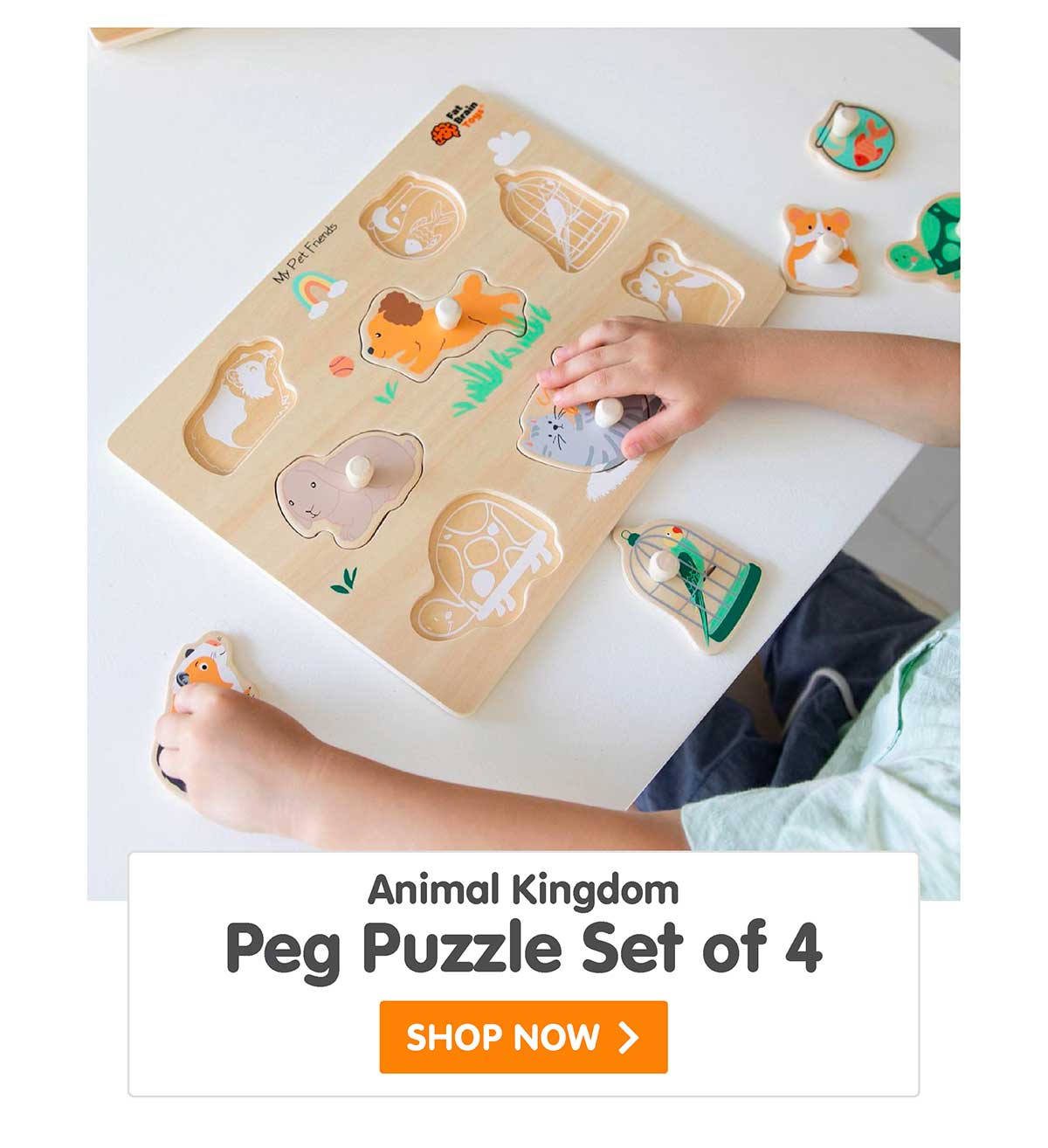 Animal Kingdom Peg Puzzle Set of 4