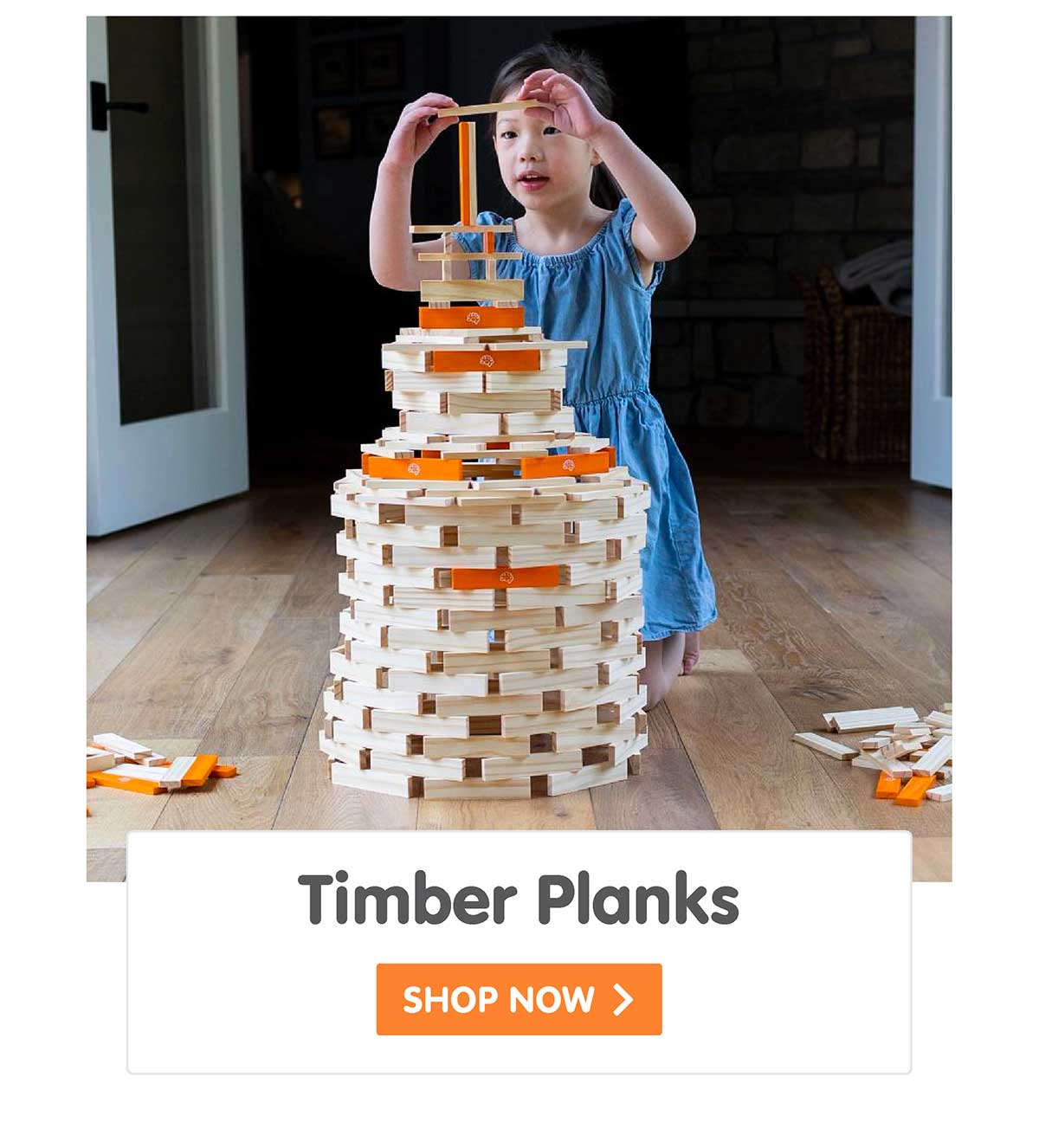 Timber Planks 300 Piece Set
