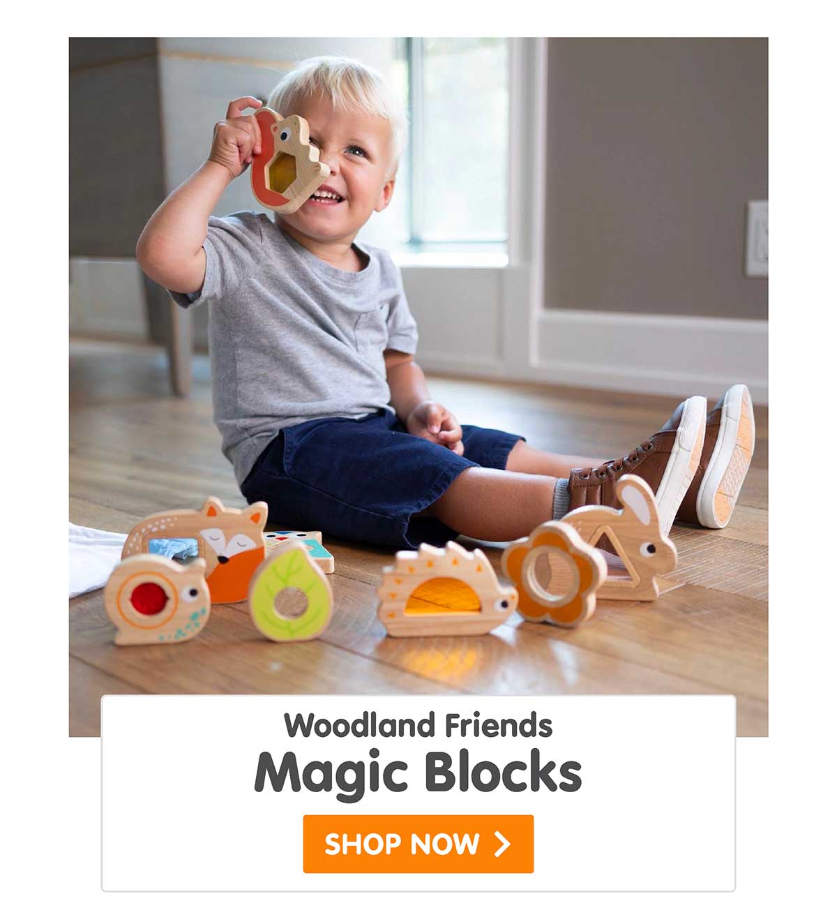 Woodland Friends Magic Blocks