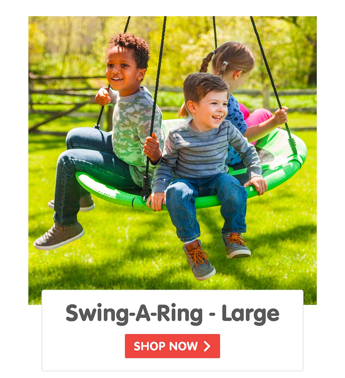 Swing-A-Ring - Large