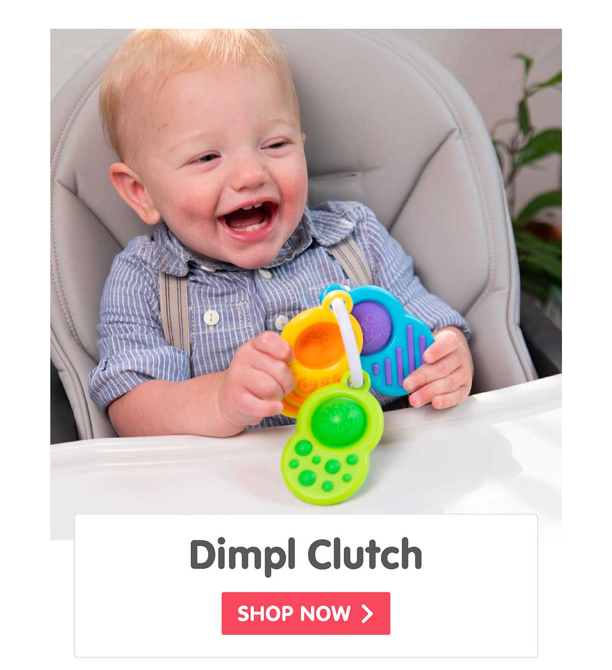 Dimpl Clutch