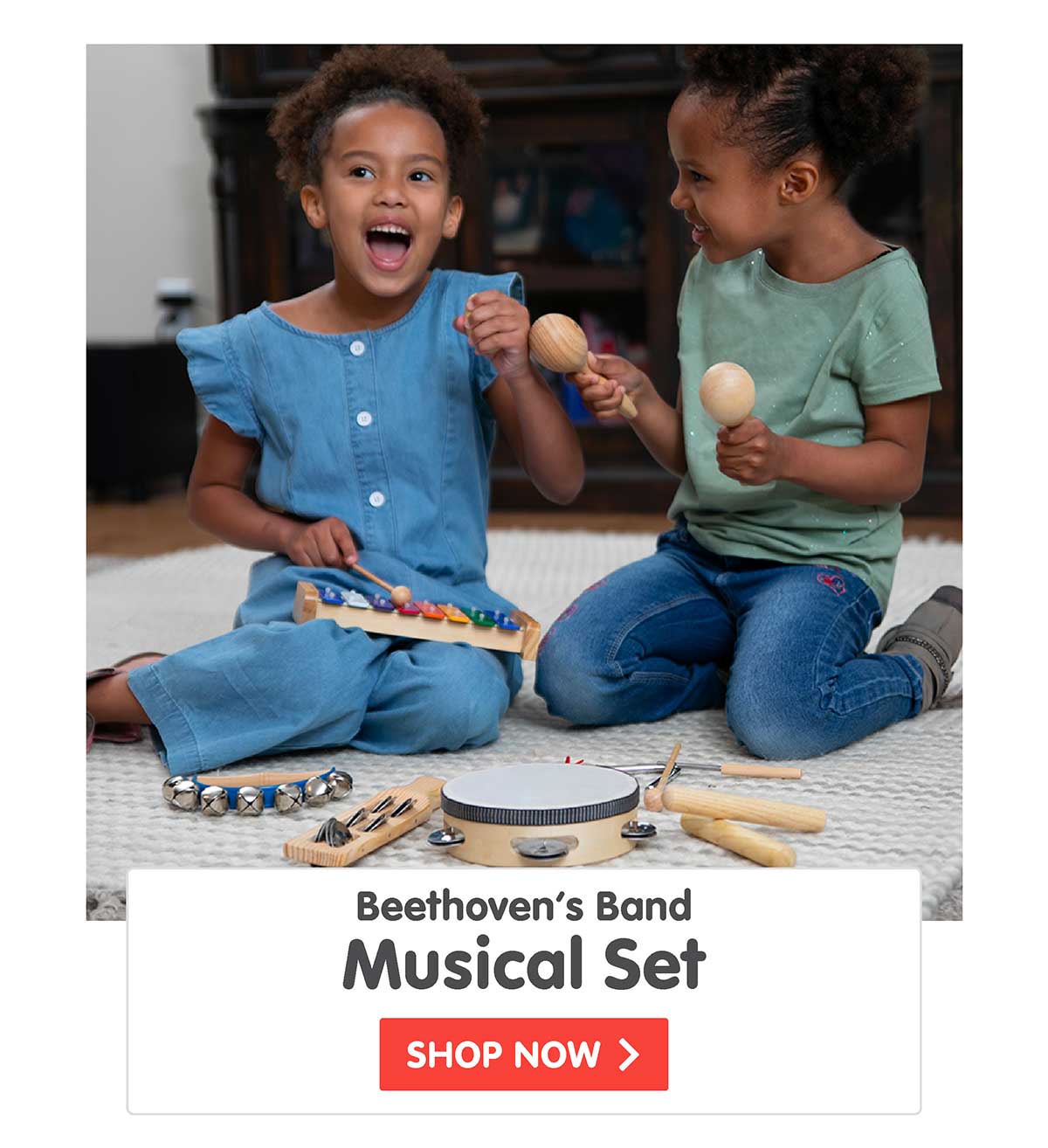 Beethoven’s Band Musical Set