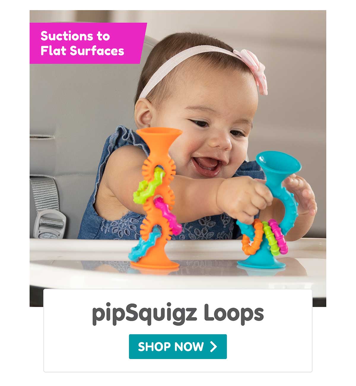 pipSquigz Loops - Suctions to Flat Surfaces!