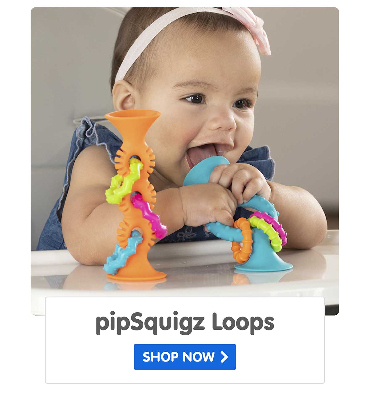 pipSquigz Loops