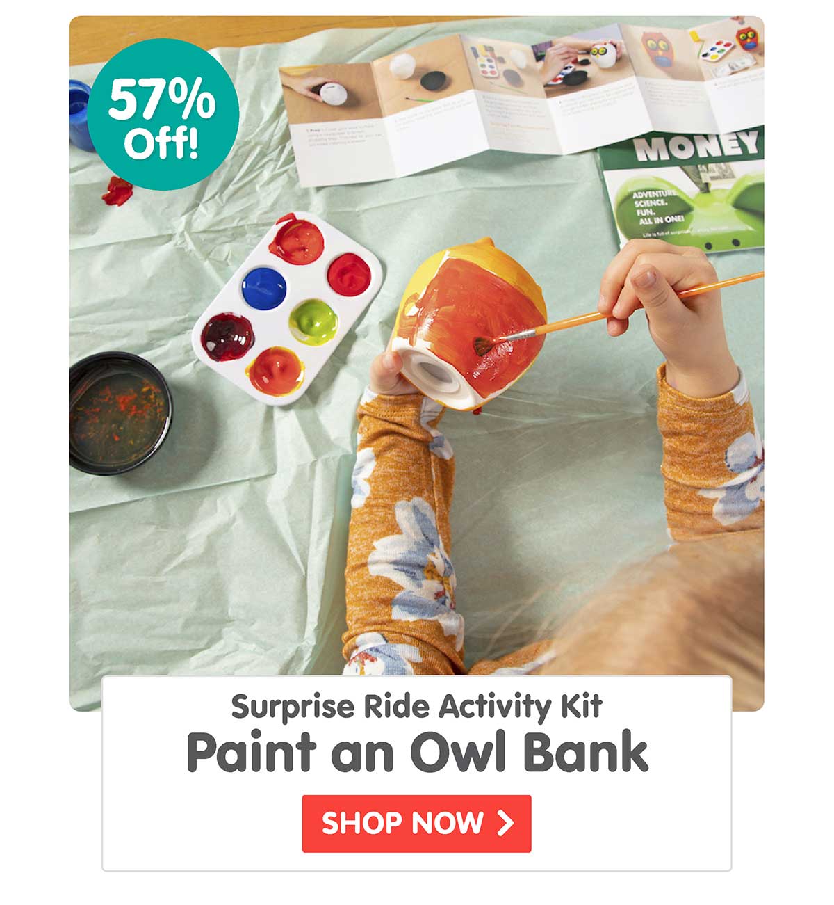 Surprise Ride - Paint an Owl Bank Activity Kit