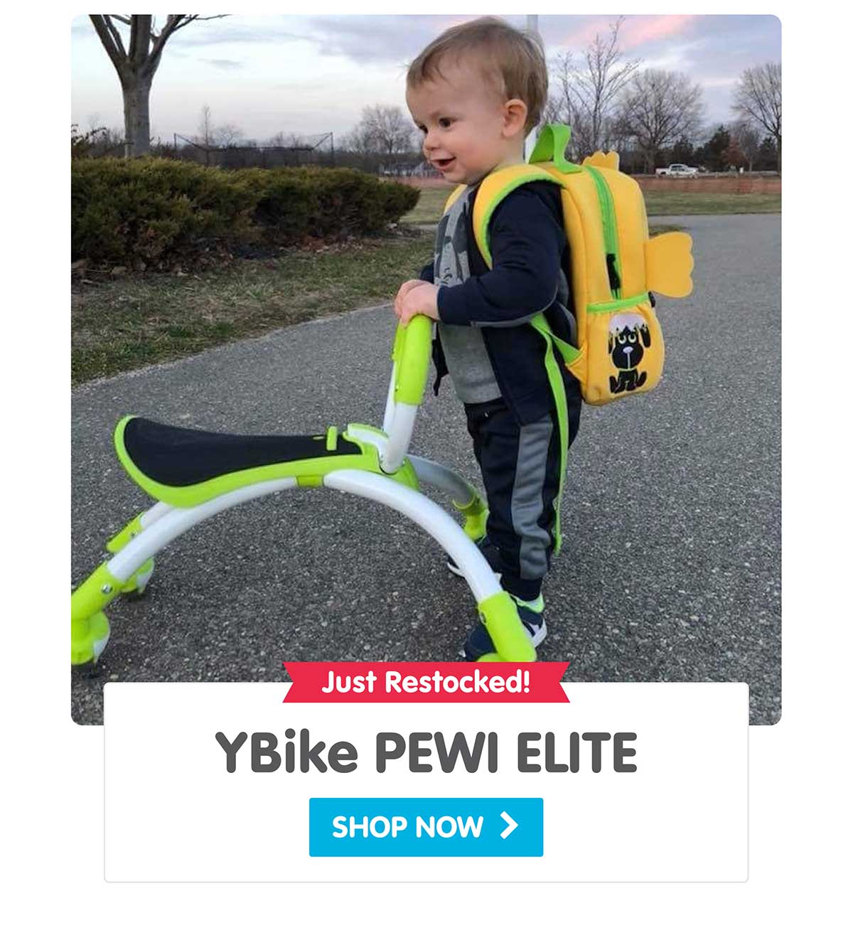 YBike PEWI ELITE