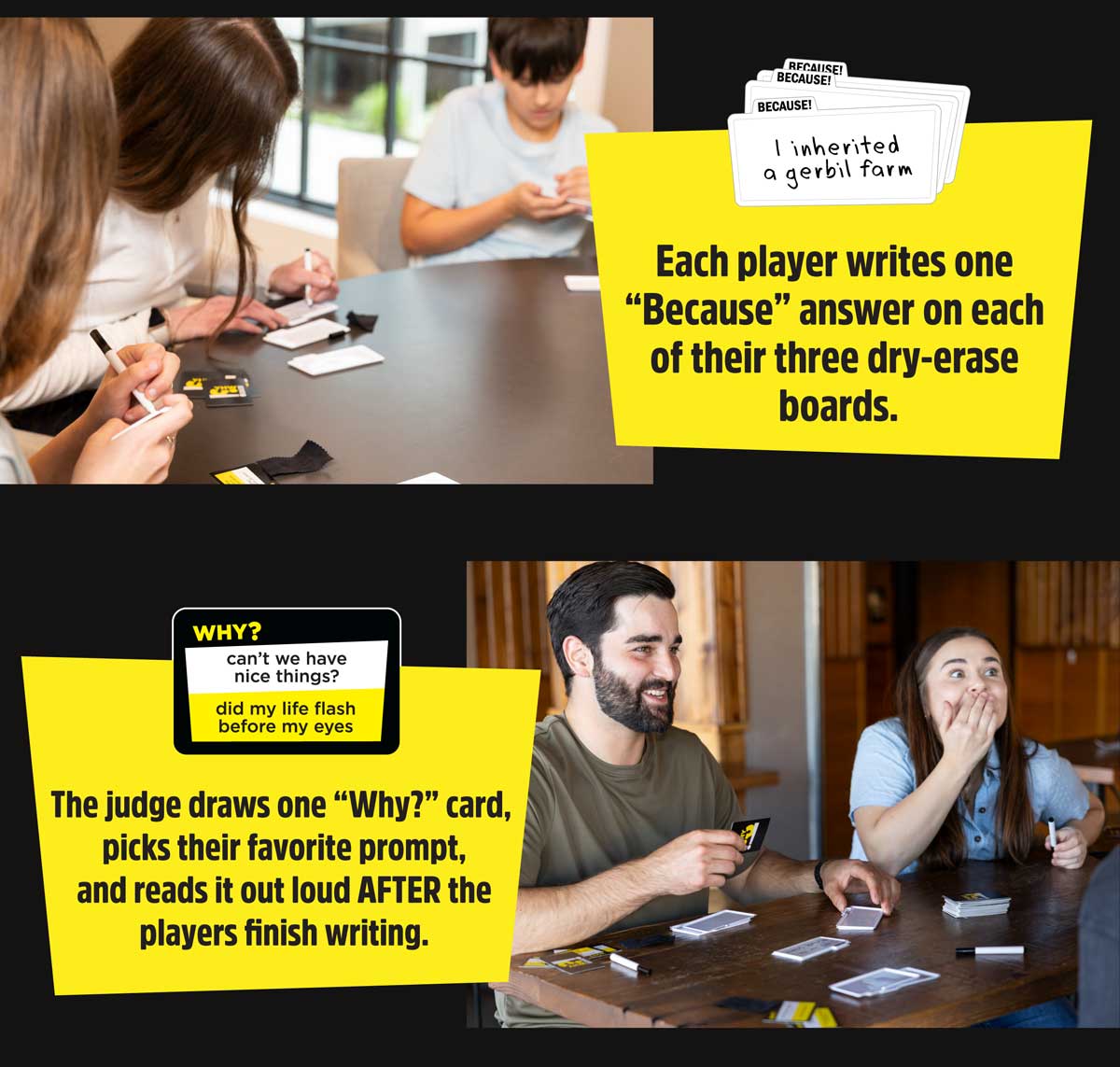 How to Play Why? Because! Graphic