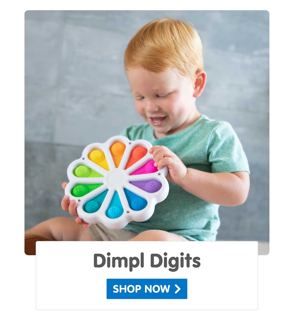 Dimpl Digits