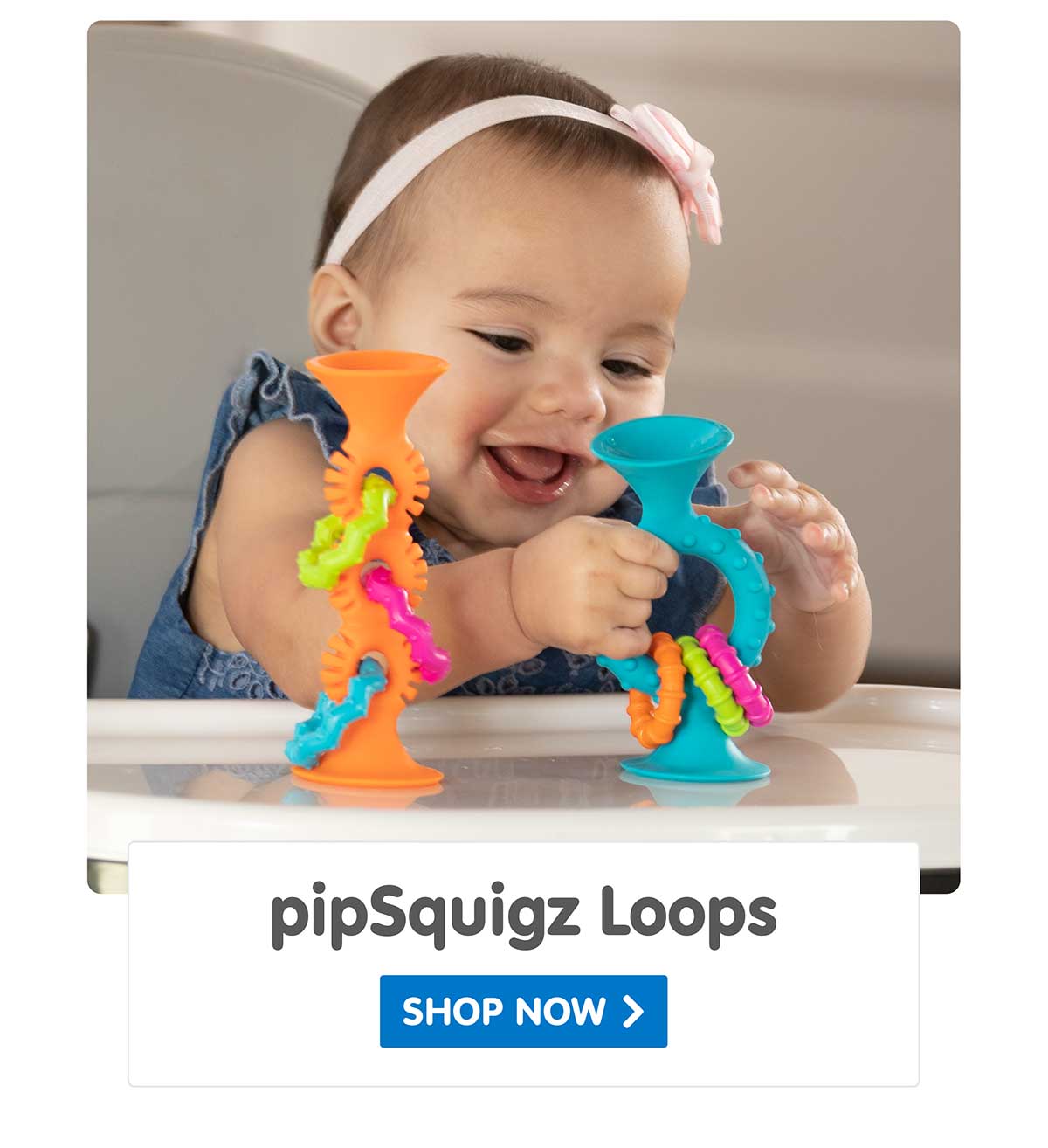 pipSquigz Loops